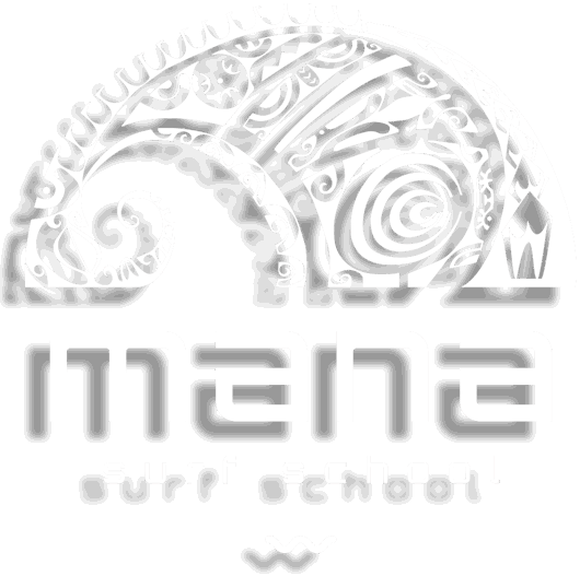 MANA SURF SCHOOL - ÉCOLE DE SURF - MESSANGES - LANDES - STAGE DE SURF - SURF - COURS DE SURF