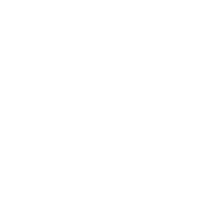 Logo Mana Surf School